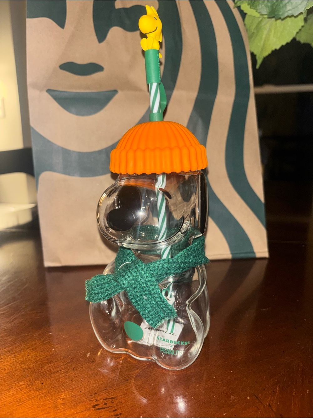 Starbucks x Peanuts Snoopy Glass Tumbler with Orange Hat and Green Scarf